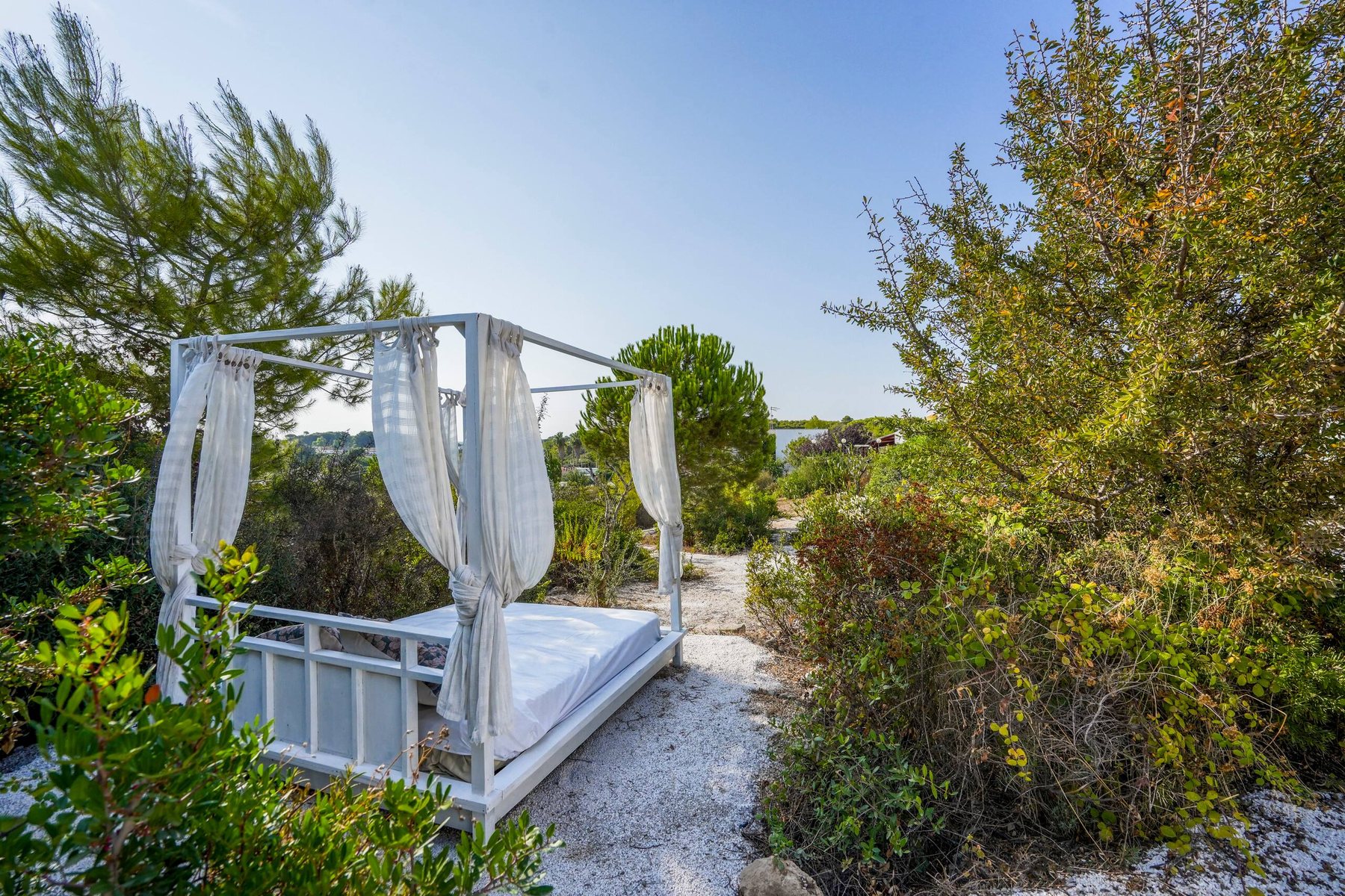 The Garden