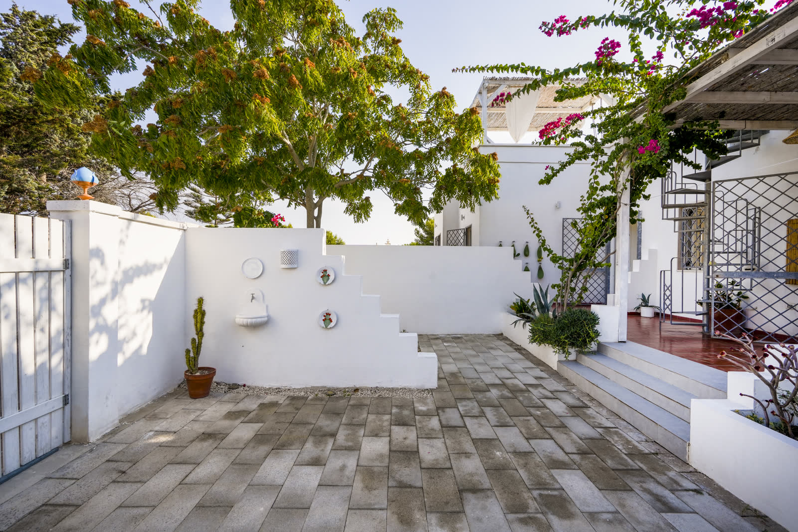 Rooftop pergola dining