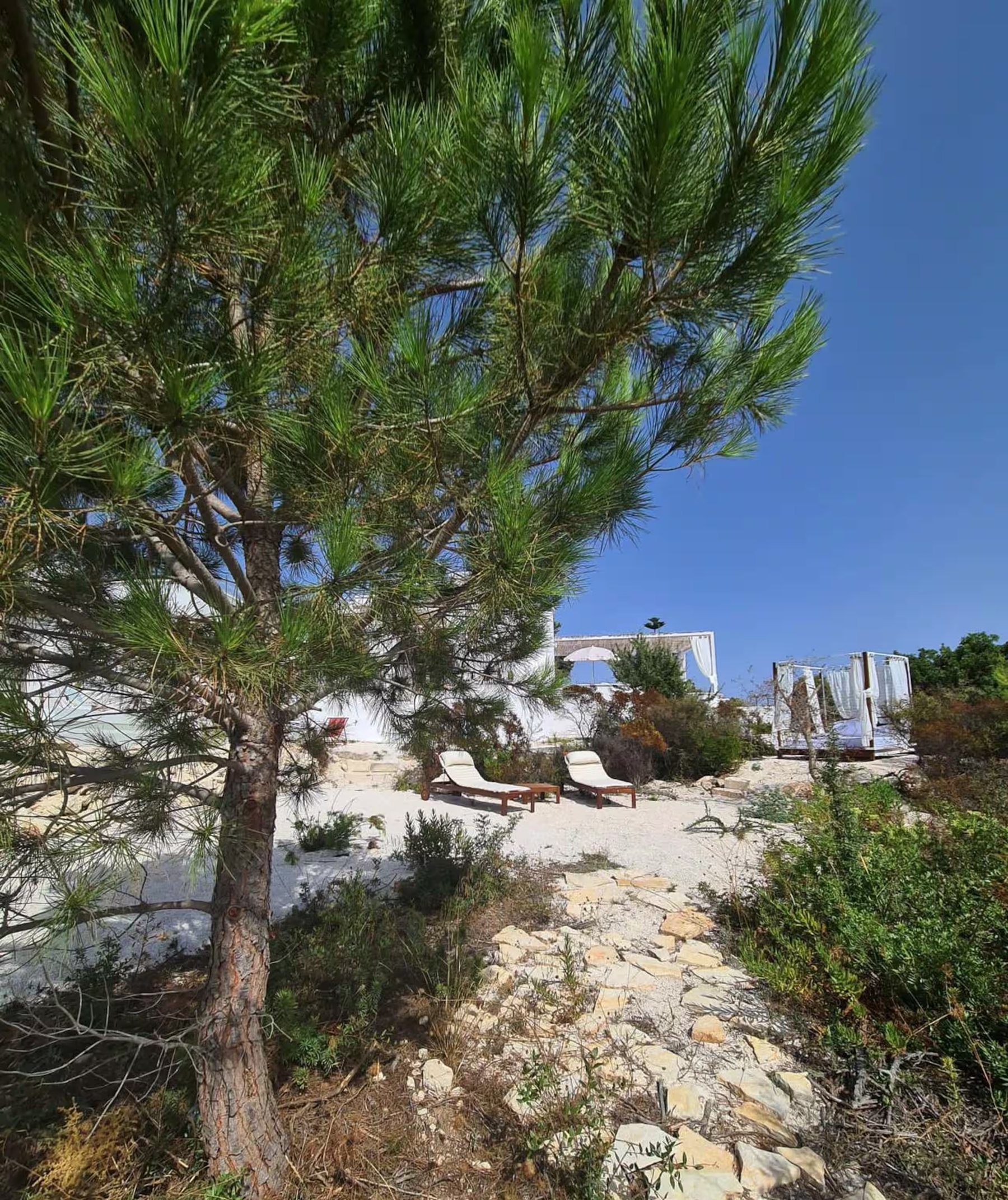 The Grounds